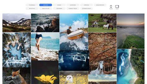 PHOTO GALLERY .
